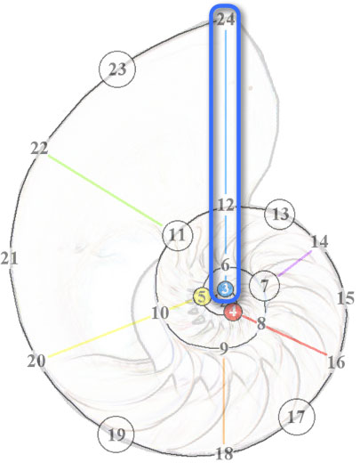 Harmonic Spiral 7