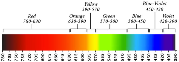 Spectrum 4